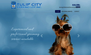 Tulipcitybarkinglot.com thumbnail