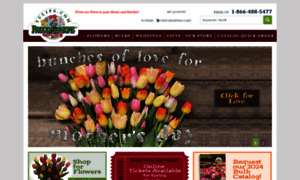 Tulips.com thumbnail