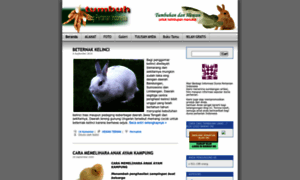 Tumbuh.wordpress.com thumbnail