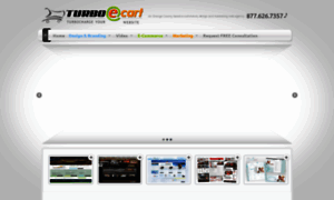 Turboecart.com thumbnail