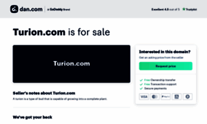 Turion.com thumbnail