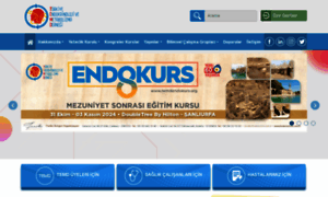 Turkendokrin.org thumbnail