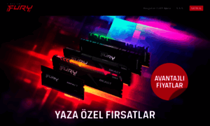 Turkey-fury-promo.kingstonsale.com thumbnail