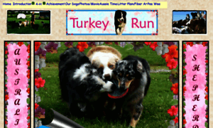 Turkeyrunfarm.com thumbnail