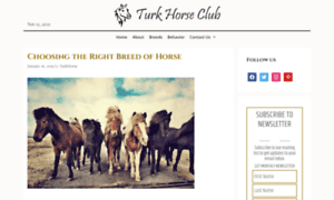 Turkhorseclub.com thumbnail