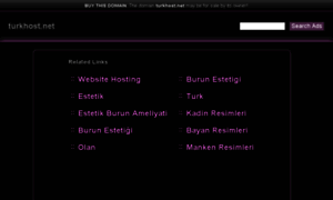 Turkhost.net thumbnail