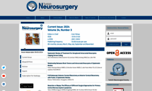 Turkishneurosurgery.org.tr thumbnail