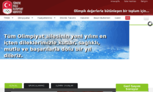 Turkishnoc.org thumbnail