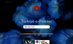 Turkiyeflorasi.org.tr thumbnail
