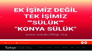 Turkiyesuluksatis.com thumbnail