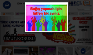 Turkkanser.org thumbnail