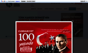 Turkkanserdernegi.org thumbnail