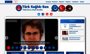 Turksagliksen.org.tr thumbnail