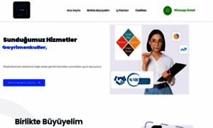 Turkwebmentor.com thumbnail