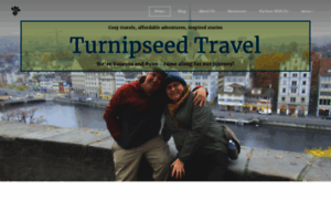 Turnipseedtravel.com thumbnail