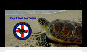 Turtlehospitalstore.com thumbnail