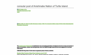 Turtleislandgov.com thumbnail