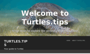Turtles.tips thumbnail