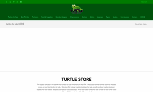 Turtlestore.com thumbnail