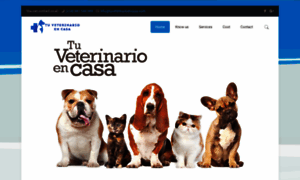 Tuveterinarioencasa.com thumbnail