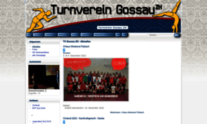 Tvgossauzh.ch thumbnail