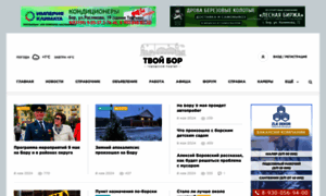Tvoy-bor.ru thumbnail