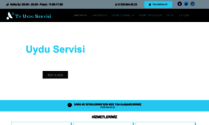 Tvuyduservisi.com thumbnail