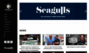 Tweedseagulls.com.au thumbnail