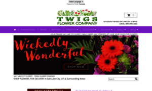 Twigsfloralcompany.com thumbnail