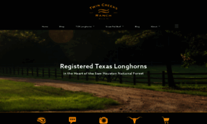 Twincreeksranchtx.com thumbnail