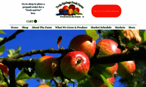 Twinspringsfruitfarm.com thumbnail