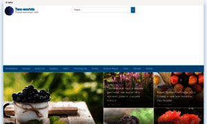 Two-worlds.ru thumbnail