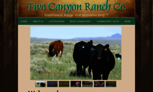 Twocanyonranch.com thumbnail