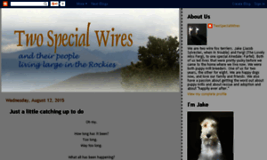 Twospecialwires.blogspot.com thumbnail