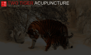 Twotigeracupuncture.com thumbnail