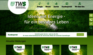 Tws-saarwellingen.de thumbnail