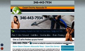 Txatascocitacarpetcleaning.com thumbnail