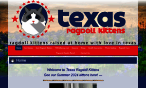 Txragdollkitten.com thumbnail