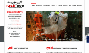 Tynki-fachbud.pl thumbnail