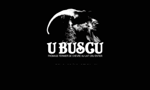 U-buscu.com thumbnail