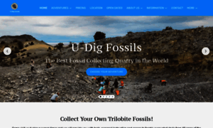 U-digfossils.com thumbnail