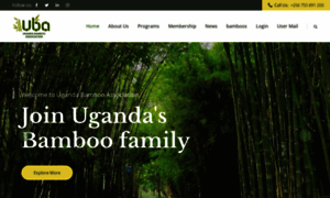 Ugandabambooassociation.com thumbnail