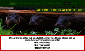 Ukwildottertrust.org thumbnail