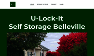 Ulockitselfstorage.com thumbnail