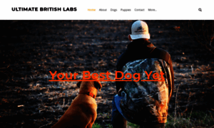 Ultimatebritishlabs.com thumbnail