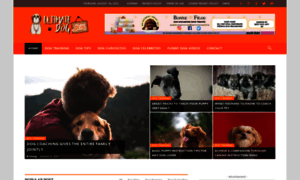 Ultimatedogblog.com thumbnail