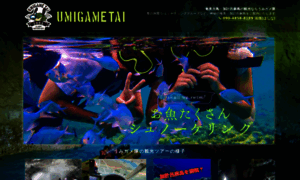 Umigametai.com thumbnail