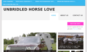 Unbridledhorselove.com thumbnail