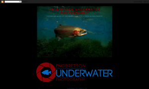 Underwaterfishphotos.blogspot.com thumbnail