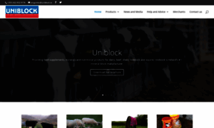 Uniblock.ie thumbnail